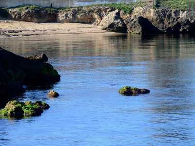 E finalmente a Torre a Mare, il quartiere pi� a sud del capoluogo, si ritrova un po� di sabbia. Tra il lido della Polizia e il complesso residenziale �Parco Atlantide�, � ubicata la piccola Cala Scizzo, caratterizzata dalla presenza di una delle tante grotte che tra il VI e il III millennio a.C furono abitate dai �primi� baresi(foto di Nicola Velluso)